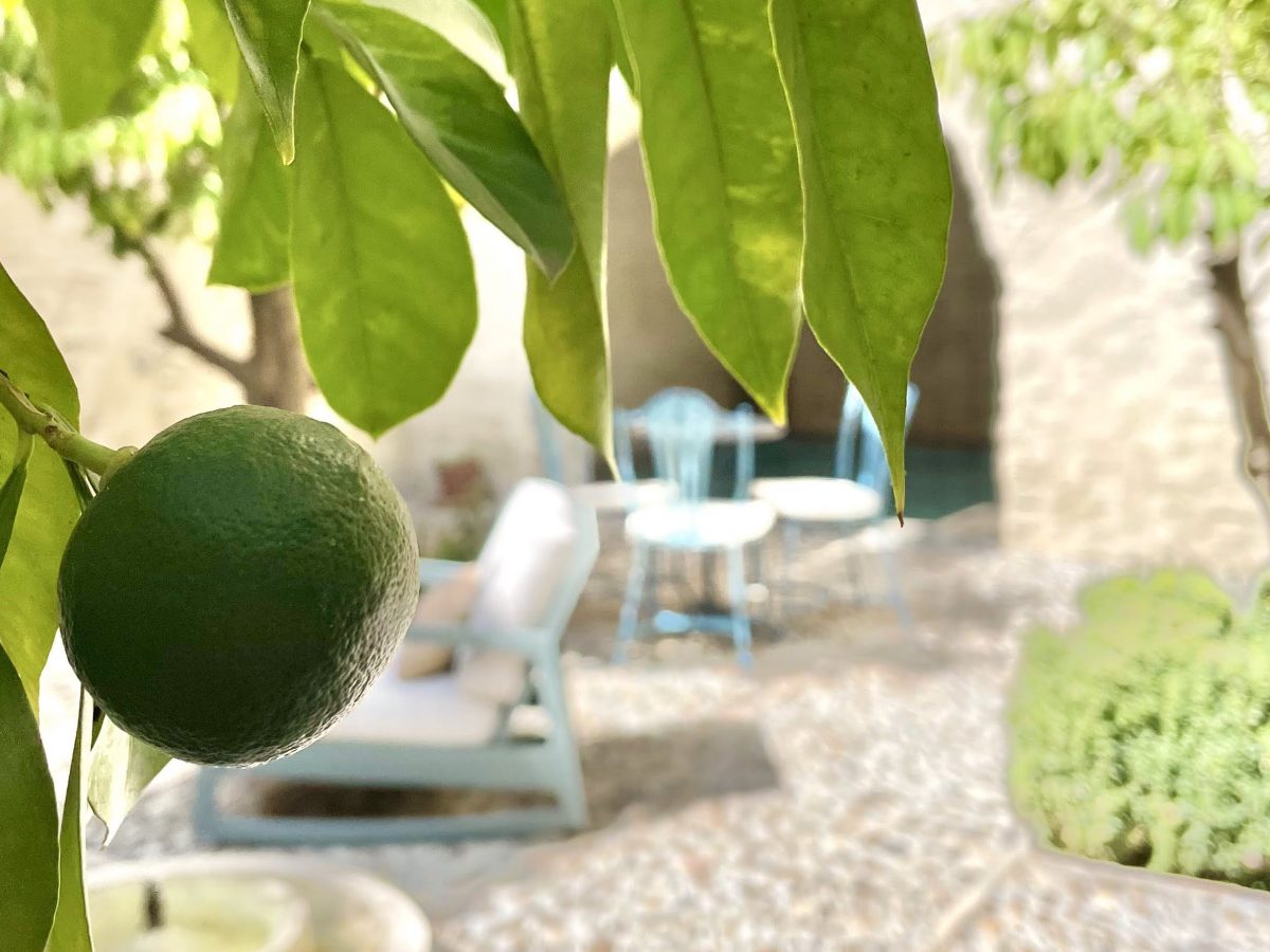 Half dozen the other: Music, walks, and bungled office&nbsp;plans