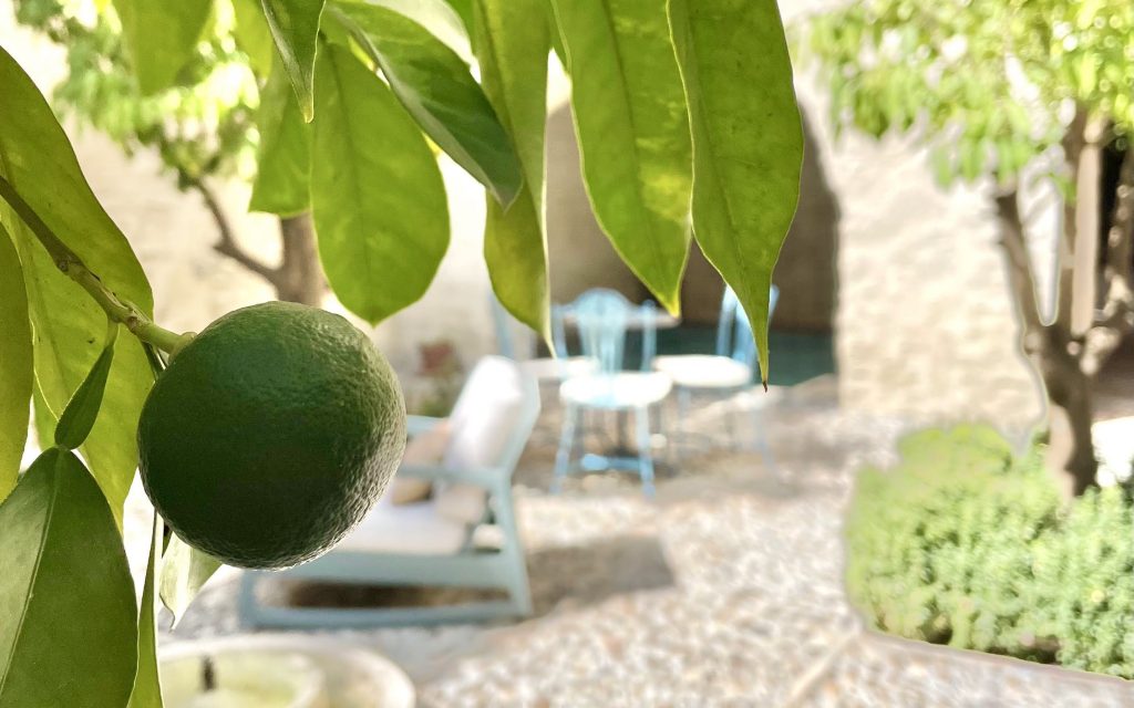 Half dozen the other: Music, walks, and bungled office&nbsp;plans