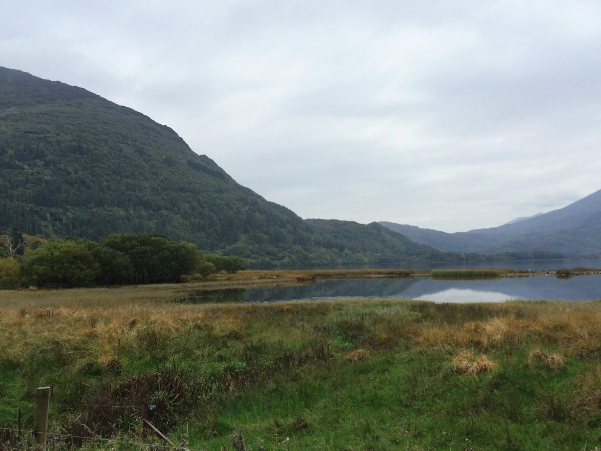 Half dozen the other: Kids, faces, and saving&nbsp;both